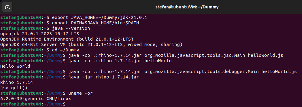 local simulation of javascript runtime environment in a virtual machine with linux